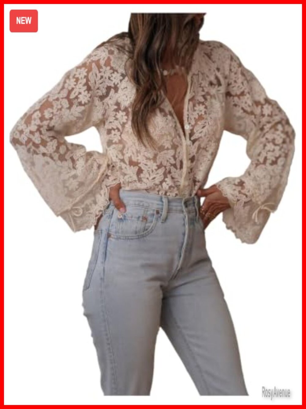 Floral Embroidery Mesh Sheer Blouse V Neck Long Sleeve Boho Vacation Top